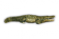 31" Alligator