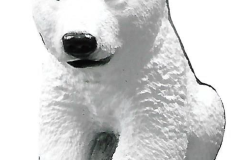 2B-18 (polar)