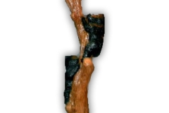 Bear23Lg