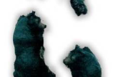 Bear24Lg