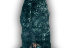 Bear6Lg