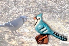 Bird19Lg