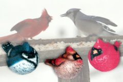 Bird5Lg