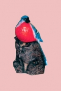 Bird6Lg