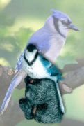 Bird7Lg