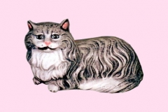Cat17Lg