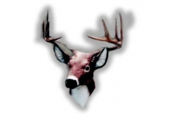 Deer37Lg