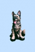 Dog30Lg