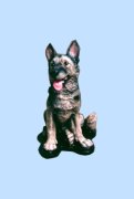 Dog30Lg