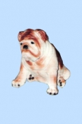 Dog9Lg