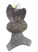 12A-17 Eagle nest Stump