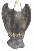 12A-30 Eagle on Stump