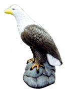 12A-39 Pam's eagle