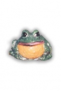 Frogs4Lg