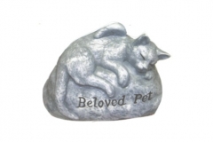 beloved cat