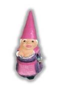 Lady Gnome