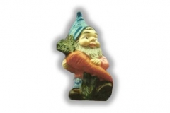Medium Gnome with Carrot