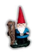 Welcome Gnome