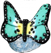 33B-41 Sm Butterfly