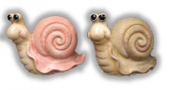 Florida Snail