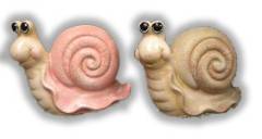 Florida Snail