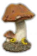 Florida Mushroom