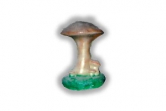 Iowa Mushroom