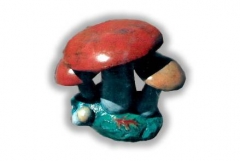 Large Mushroom Cluster