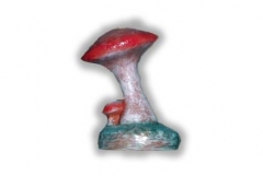 Mushroom Leaning