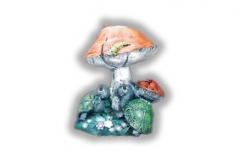 Mushroom With Turtles