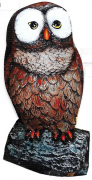 18A-12 Colorful Owl