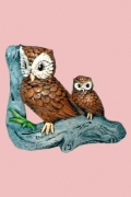 Double Owl On Branch