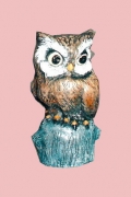 Small Single Owl