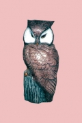 Hoot Owl