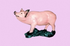Pig15Lg