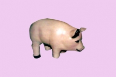 Pig1Lg