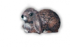 Rabbit20Lg