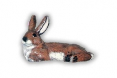 Rabbit21Lg