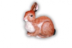 Rabbit6Lg