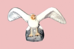 Seagull11Lg