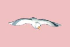 Seagull12Lg