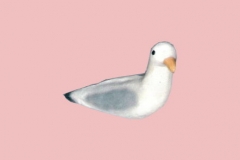 Seagull14Lg