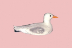 Seagull8Lg