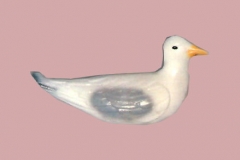 Seagull9Lg