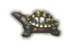 Donnie Turtle