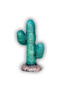 Small Cactus