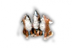 Small Coyote Trio