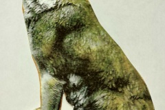 Lg-Howling-Wolf