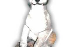 Wolf Cub